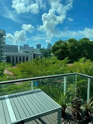 Belle Vue Residences (D9), Condominium #480004541
